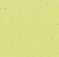 Линолеум Forbo Sphera Energetic 50213 spring фото 1 | FLOORDEALER